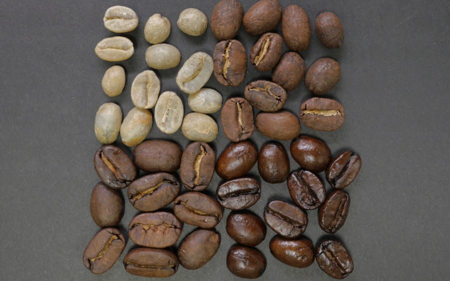 Cosa accade al chicco di caffè durante la tostatura
