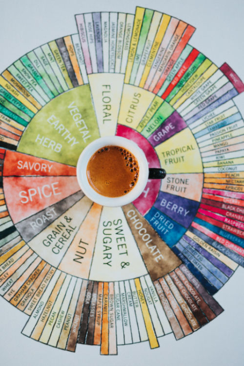 Il gusto vero del caffè e la ruota del gusto