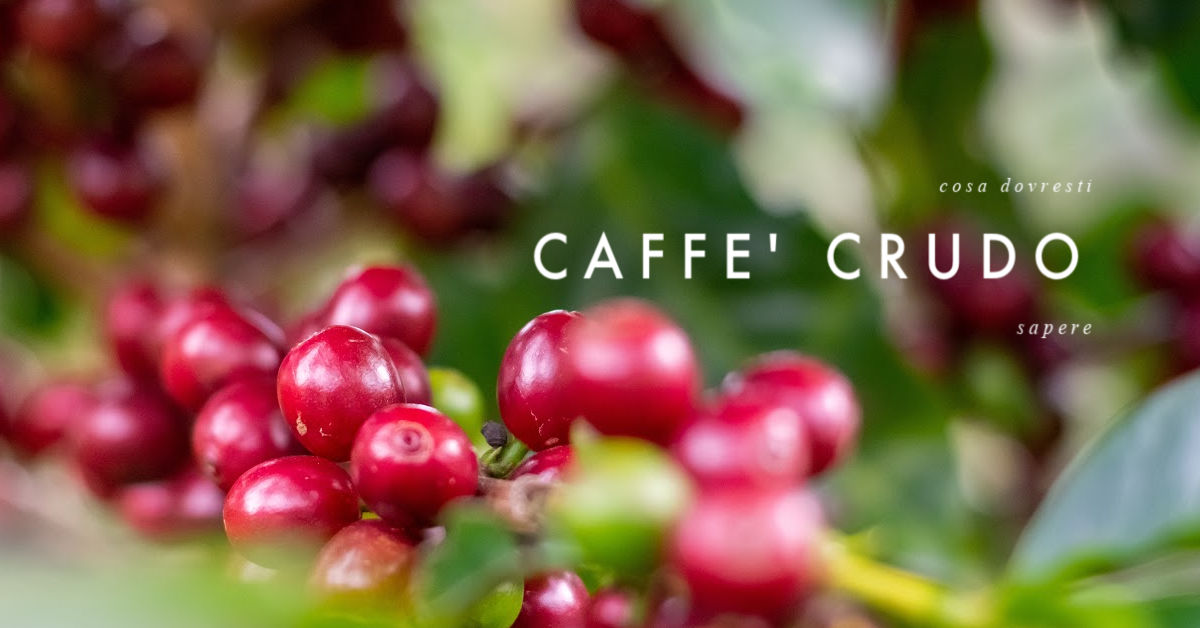 caffè crudo